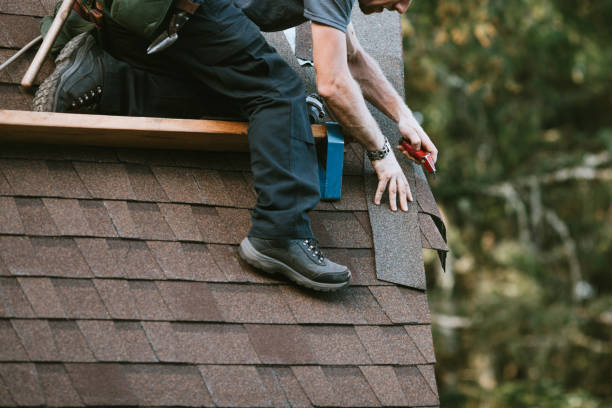 Best Roof Repair Services  in Sullivan, IL